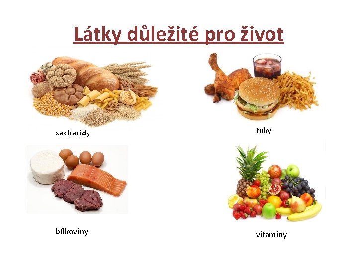 Látky důležité pro život sacharidy tuky bílkoviny vitamíny 