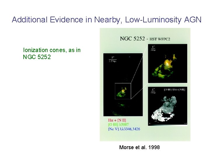 Additional Evidence in Nearby, Low-Luminosity AGN Ionization cones, as in NGC 5252 Morse et