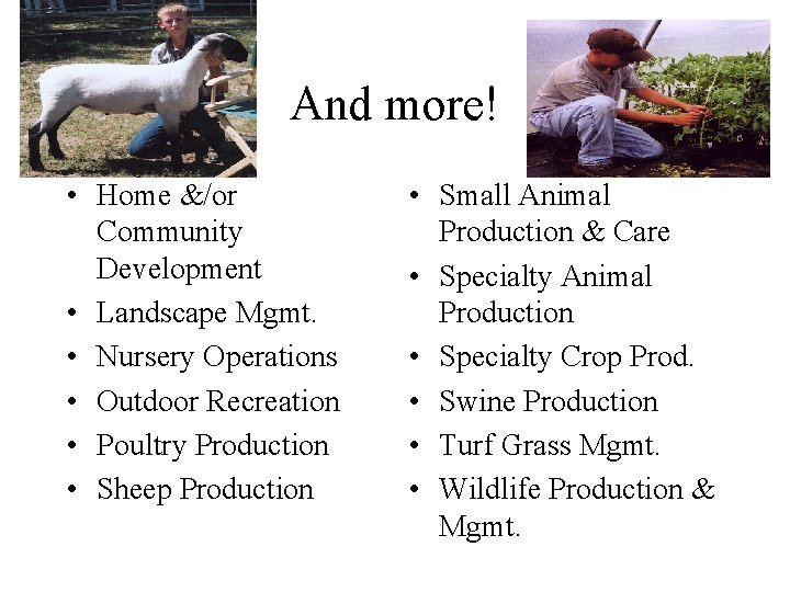 And more! • Home &/or Community Development • Landscape Mgmt. • Nursery Operations •
