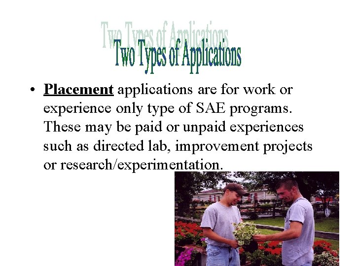  • Placement applications are for work or experience only type of SAE programs.