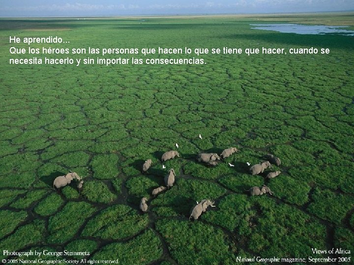 He aprendido. . . Que los héroes son las personas que hacen lo que