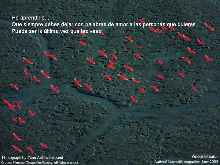 He aprendido. . . Que siempre debes dejar con palabras de amor a las