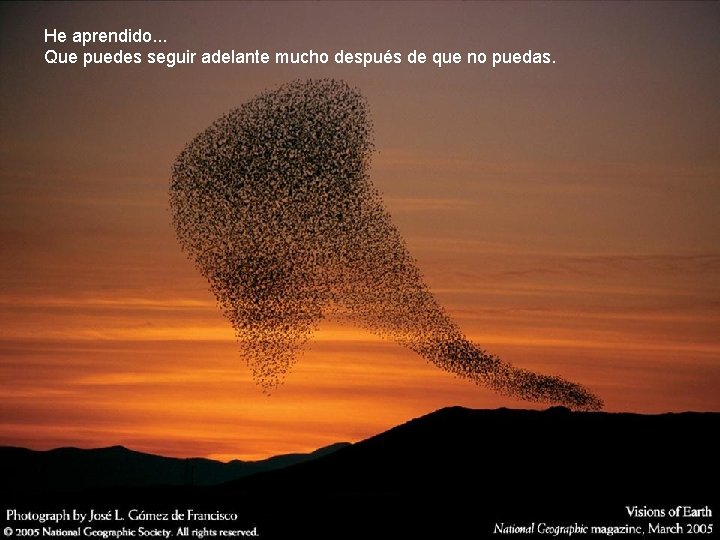 He aprendido. . . Que puedes seguir adelante mucho después de que no puedas.