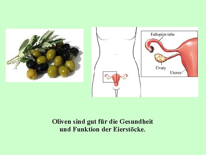 Oliven sind gut für die Gesundheit und Funktion der Eierstöcke. 