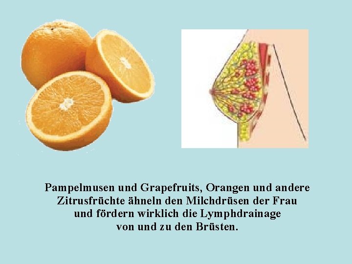 Pampelmusen und Grapefruits, Orangen und andere Zitrusfrüchte ähneln den Milchdrüsen der Frau und fördern