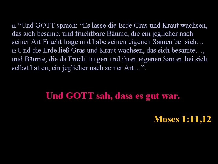 “Und GOTT sprach: “Es lasse die Erde Gras und Kraut wachsen, das sich besame,