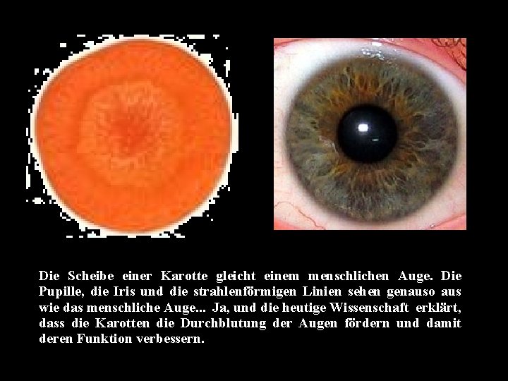 Die Scheibe einer Karotte gleicht einem menschlichen Auge. Die Pupille, die Iris und die