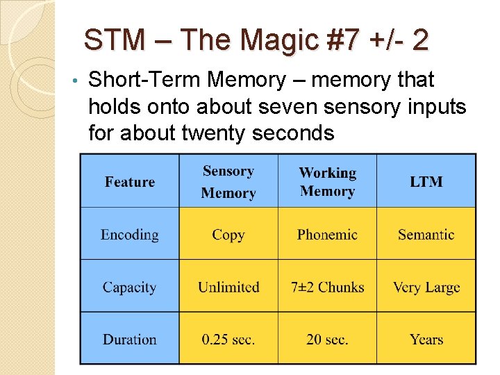 STM – The Magic #7 +/- 2 • Short-Term Memory – memory that holds