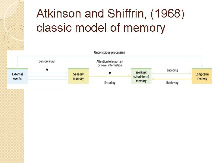 Atkinson and Shiffrin, (1968) classic model of memory 