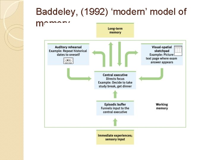 Baddeley, (1992) ‘modern’ model of memory 