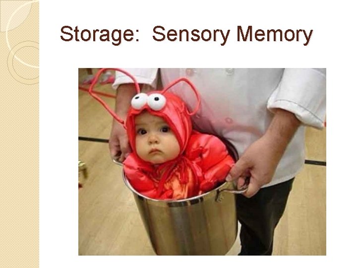 Storage: Sensory Memory 