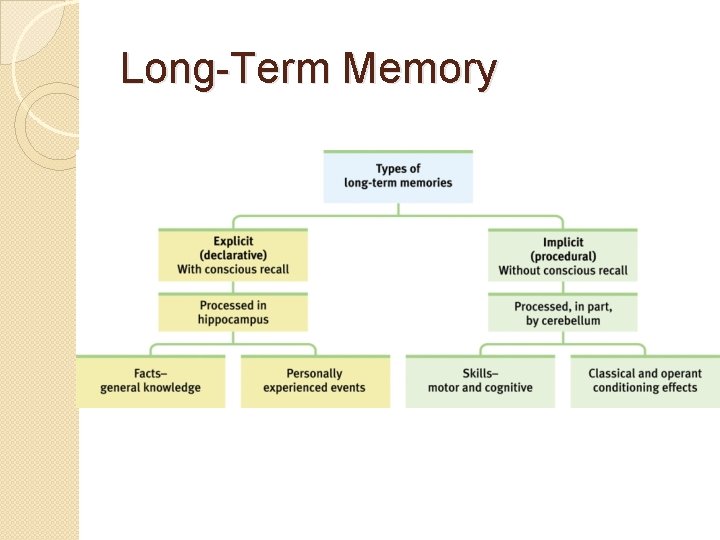 Long-Term Memory 