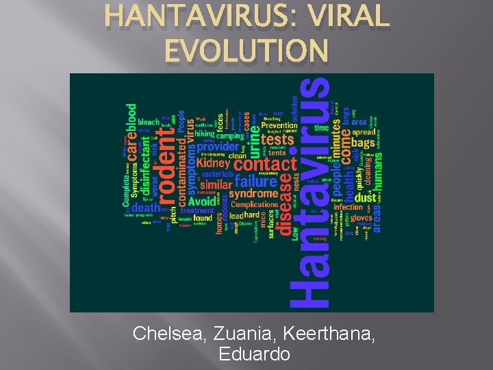 HANTAVIRUS: VIRAL EVOLUTION Chelsea, Zuania, Keerthana, Eduardo 