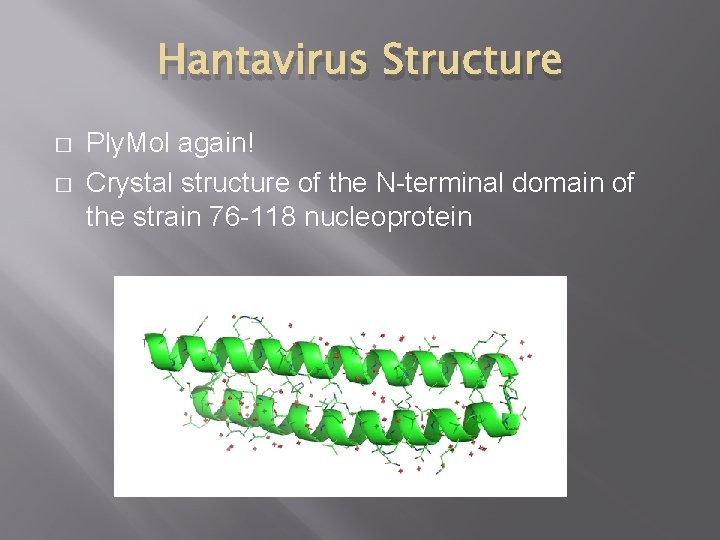 Hantavirus Structure � � Ply. Mol again! Crystal structure of the N-terminal domain of