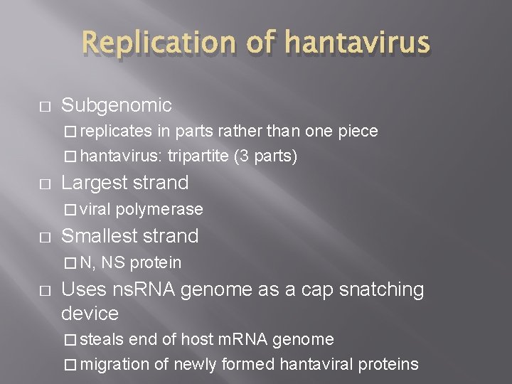Replication of hantavirus � Subgenomic � replicates in parts rather than one piece �