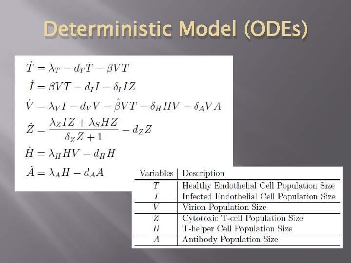 Deterministic Model (ODEs) 