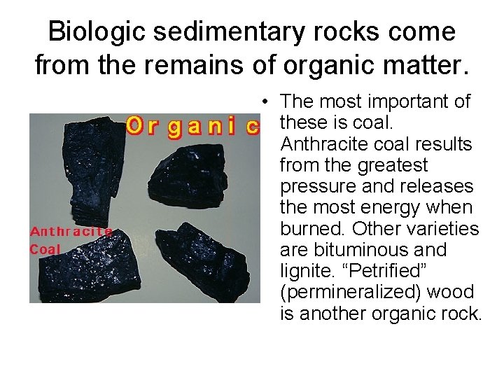 Biologic sedimentary rocks come from the remains of organic matter. • The most important