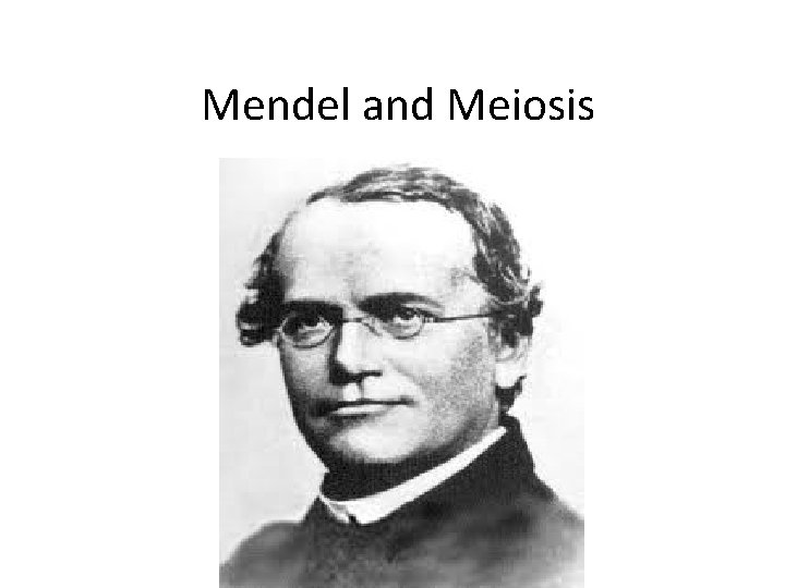 Mendel and Meiosis 