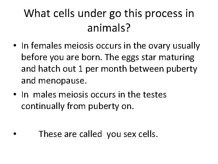 What cells under go this process in animals? • In females meiosis occurs in