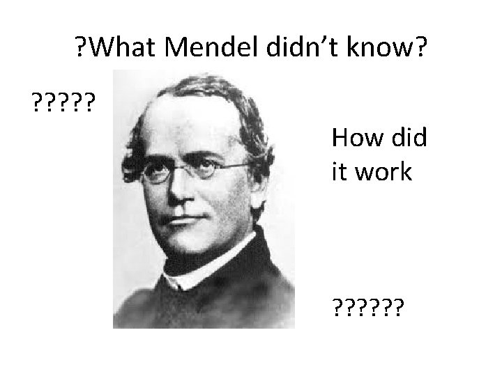 ? What Mendel didn’t know? ? ? How did it work ? ? ?