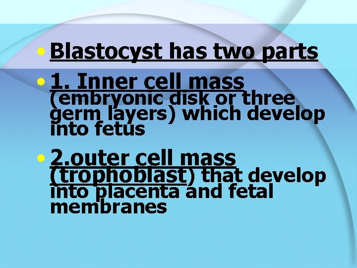  • Blastocyst has two parts • 1. Inner cell mass (embryonic disk or