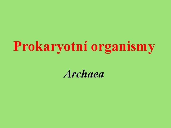 Prokaryotní organismy Archaea 