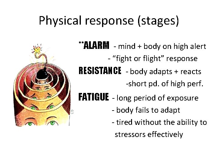 Physical response (stages) **ALARM - mind + body on high alert - “fight or