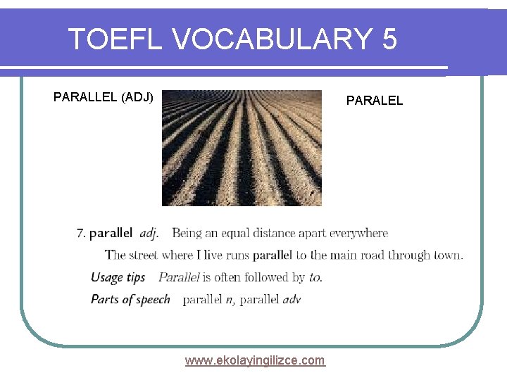 TOEFL VOCABULARY 5 REVIEW THE FOLLOWING VOCABULARY ITEMS