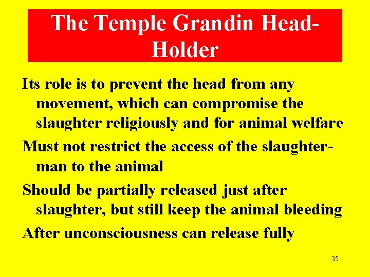 The Temple Grandin Head. Holder Its role is to prevent the head from any
