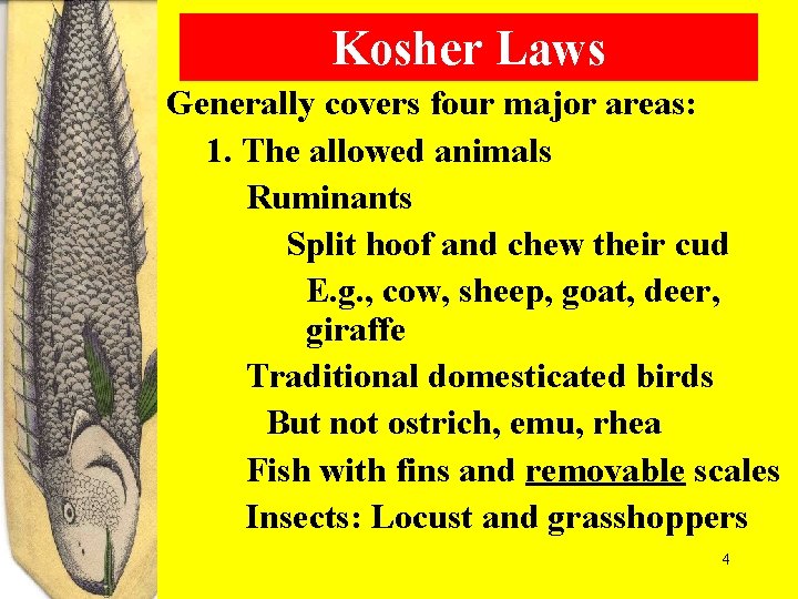 Kosher Laws Generally covers four major areas: 1. The allowed animals Ruminants Split hoof