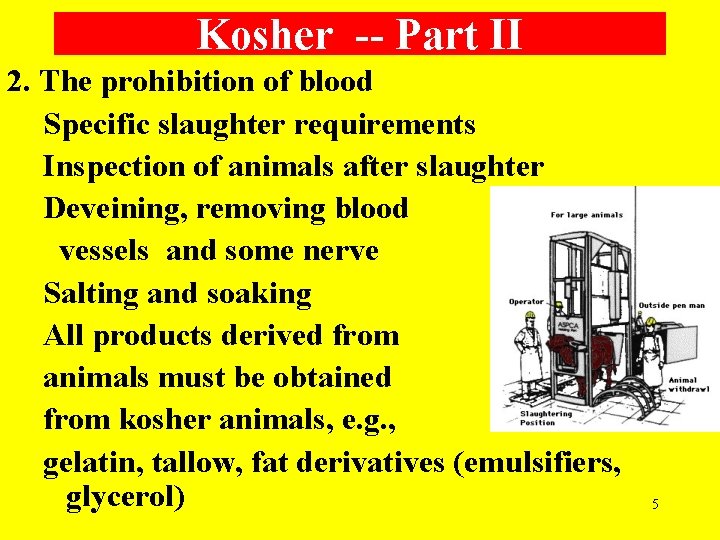 Kosher -- Part II 2. The prohibition of blood Specific slaughter requirements Inspection of