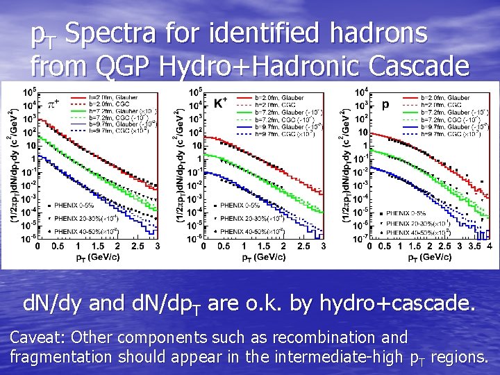 p. T Spectra for identified hadrons from QGP Hydro+Hadronic Cascade d. N/dy and d.