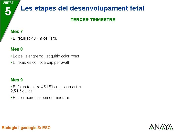 UNITAT 5 Les etapes del desenvolupament fetal TERCER TRIMESTRE Mes 7 • El fetus