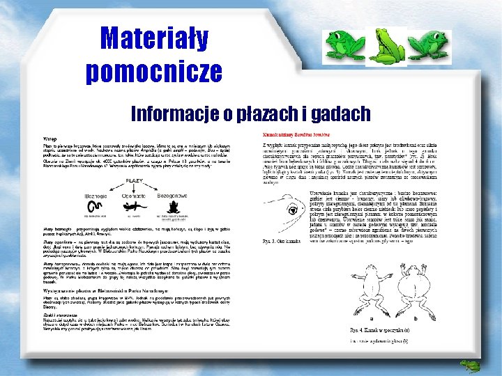 Materiały pomocnicze Informacje o płazach i gadach 