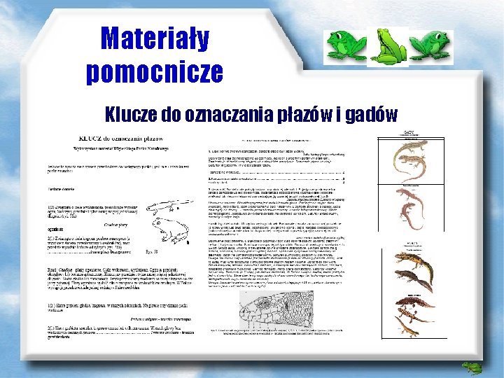 Materiały pomocnicze Klucze do oznaczania płazów i gadów 