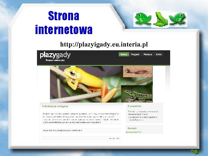 Strona internetowa http: //plazyigady. eu. interia. pl 