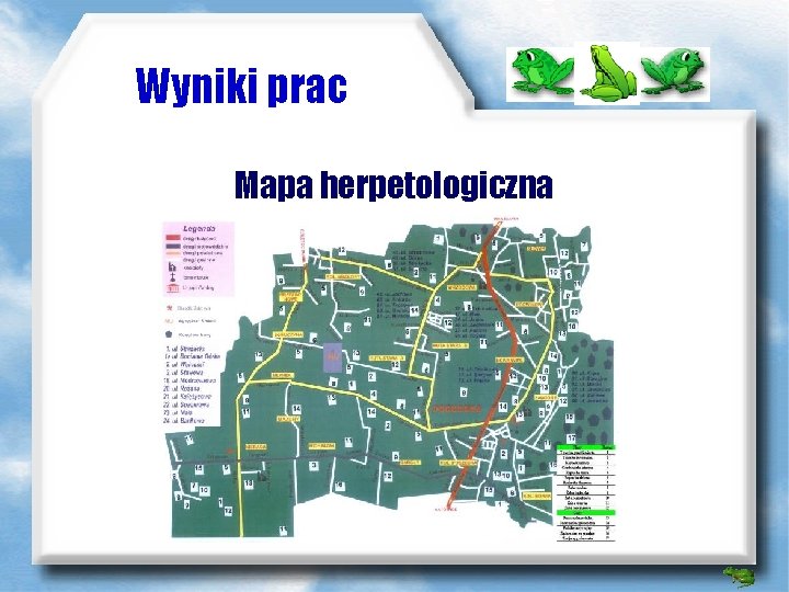 Wyniki prac Mapa herpetologiczna 