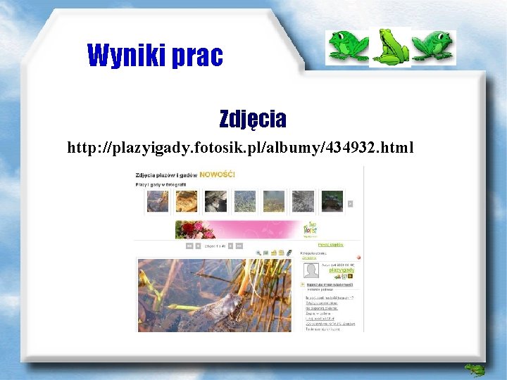 Wyniki prac Zdjęcia http: //plazyigady. fotosik. pl/albumy/434932. html 