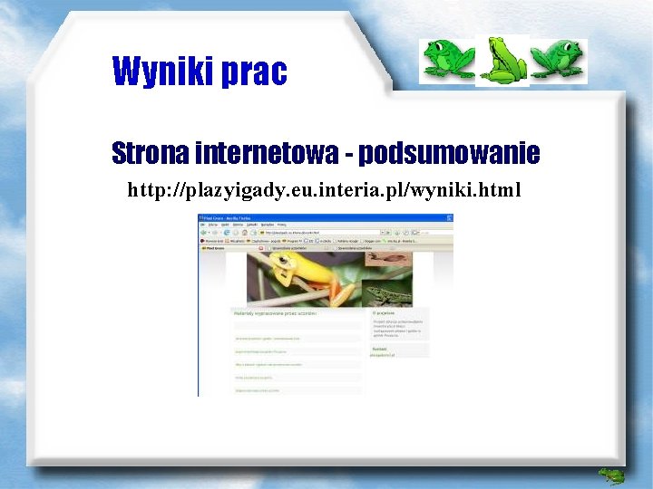 Wyniki prac Strona internetowa - podsumowanie http: //plazyigady. eu. interia. pl/wyniki. html 