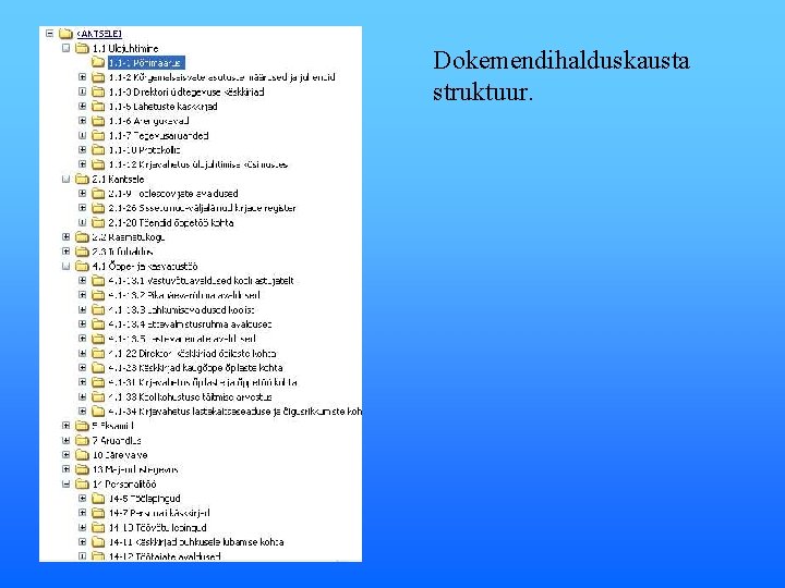 Dokemendihalduskausta struktuur. 