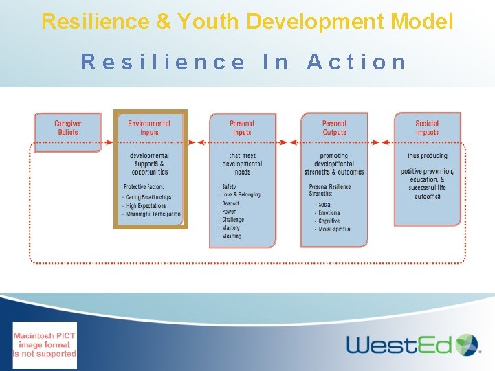 Resilience & Youth Development Model Resilience In Action 