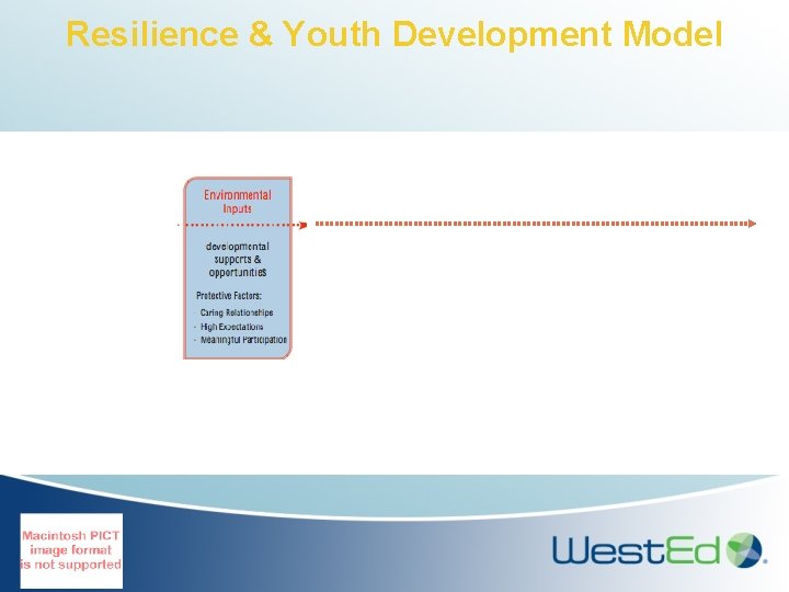 Resilience & Youth Development Model 