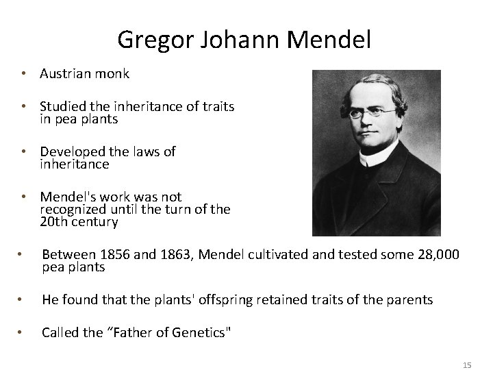 Gregor Johann Mendel • Austrian monk • Studied the inheritance of traits in pea