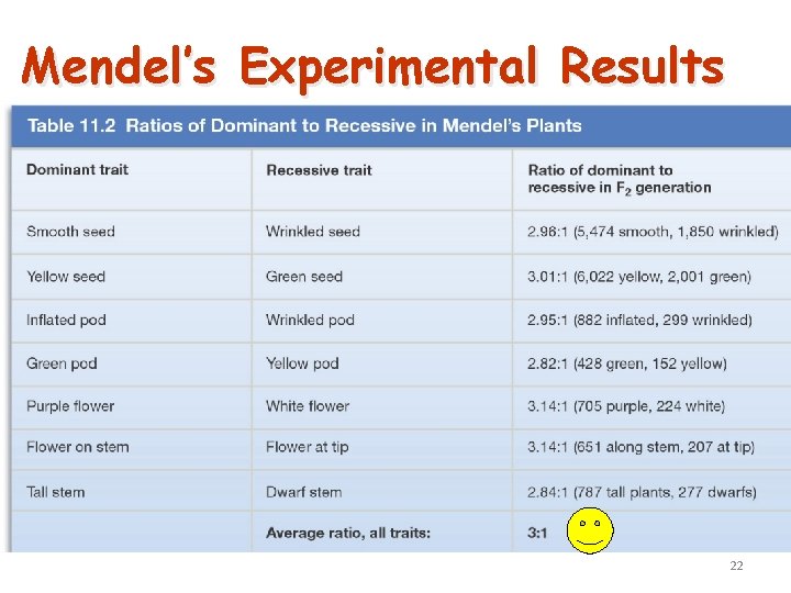 Mendel’s Experimental Results 22 
