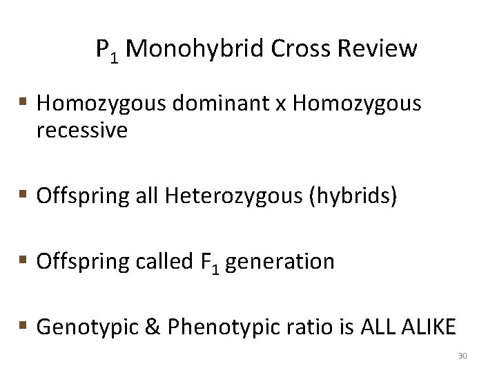 P 1 Monohybrid Cross Review § Homozygous dominant x Homozygous recessive § Offspring all