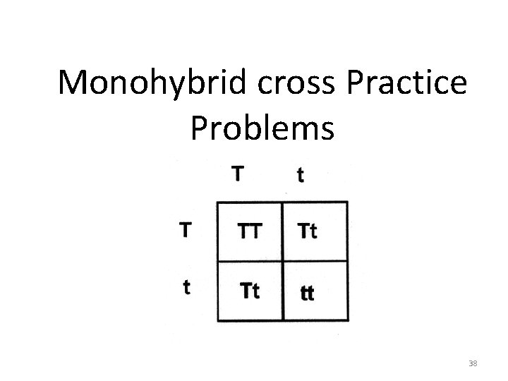 Monohybrid cross Practice Problems 38 