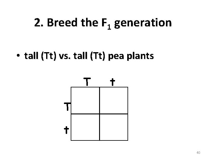 2. Breed the F 1 generation • tall (Tt) vs. tall (Tt) pea plants
