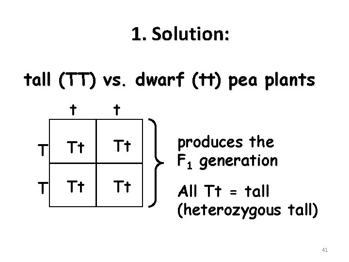 1. Solution: tall (TT) vs. dwarf (tt) pea plants t t T Tt Tt