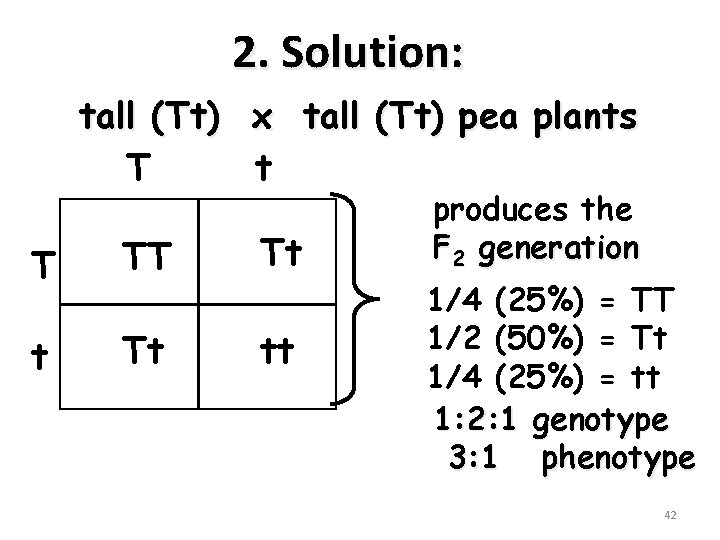 2. Solution: tall (Tt) x tall (Tt) pea plants T t T TT Tt