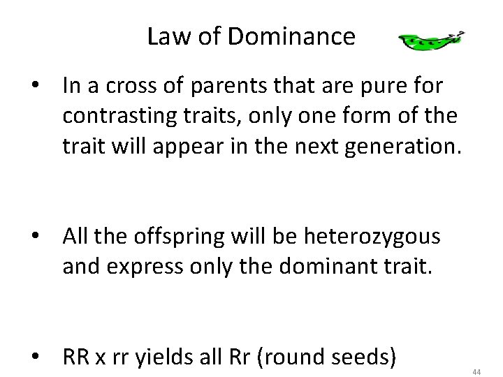 Law of Dominance • In a cross of parents that are pure for contrasting